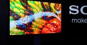 Sony może pokazać w przyszłym roku telewizor OLED [AKT.]