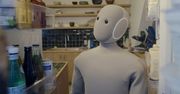 Możesz zamówić robota, który podleje kwiaty i opróżni zmywarkę. Ale jest haczyk