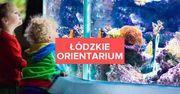 W Łodzi powstaje orientarium. Czym zaskoczy nas ta nowa atrakcja turystyczna?