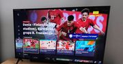 TVP Sport prawem każdego telewizora. Gdzie za darmo obejrzeć EURO 2020 w 4K?