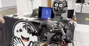 Chcesz humanoida? Robotyka staje się coraz bardziej przystępna