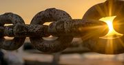 Programista Blockchain może dobrze zarobić