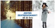 Jesteś zestresowany? Idź do lasu