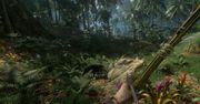Polskie Green Hell zadebiutowało na Steamie - amazoński survival zbiera dobre oceny
