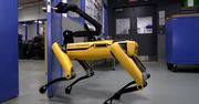 Pomagające sobie roboty, czyli nowy film od Boston Dynamics
