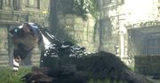 Graczom nie znudziło się czekanie na The Last Guardian