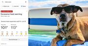 Będą nowe alerty w Google. Pojawią się w ekstremalnych sytuacjach
