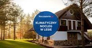 Klimatyczny nocleg w lesie. Poznaj wyjątkową propozycję z Borów Tucholskich