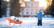 Ferie na specjalnych warunkach. Wąż, przerębel i „pedicure Kopciuszka”