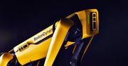 Najbardziej rozpoznawalny robot na świecie trafia wreszcie do sprzedaży