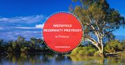 Najbardziej niezwykłe rezerwaty przyrody w Polsce! Znasz je wszystkie?