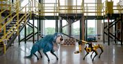Zobacz tańczącego robo-psa Boston Dynamics. To nasza przyszłość?