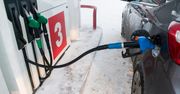 Polski rząd nie wierzy w zakaz sprzedaży aut spalinowych