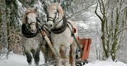 Noclegi z atrakcjami: kuligi, ogniska. Sprawdź, co jeszcze oferuje agroturystyka