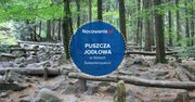 Puszcza Jodłowa - wyjątkowy obszar leśny w Polsce i Górach Świętokrzyskich