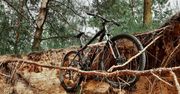 Rowerowy wypoczynek w Polsce - gdzie na rower MTB, a gdzie na trekkingowy?