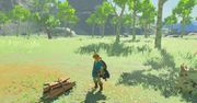 Zelda: Breath of the Wild - co w pierwszym DLC?