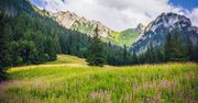 Dolina Kościeliska - najpiękniejsza dolina w polskich Tatrach?