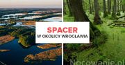 5 najlepszych miejsc na spacer w okolicy Wrocławia