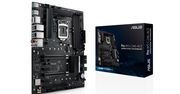 ASUS Pro WS C246-ACE - płyta główna dla stacji roboczych
