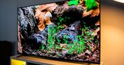 To najlepszy telewizor z tą matrycą OLED – recenzja Sony Bravia XR-65A80L