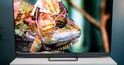 TCL 65C825 dowodzi, że QLED z miniLED nie musi być drogie! Oto jego obszerna recenzja