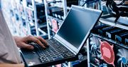 Polacy nadal chcą pracować w IT. Powody nie zaskakują