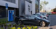 Zainteresowanie elektrykami nie maleje. Kolejny rekord Tesli