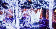 Lumina Park Lublin. Bajkowa atrakcja dla rodzin i dorosłych