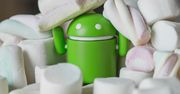 Android 6.0 Marshmallow przekroczył 10% rynkowych udziałów
