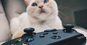 Próbujesz kupić konsolę? Oto dlaczego Xbox zjada PlayStation
