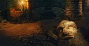 Krótkie przypomnienie o Pillars of Eternity II