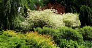 Lubelski Ogród Botaniczny - galeria zdjęć