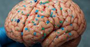 Jesteśmy pokoleniem z plastikową łyżką w mózgu – to nie żart