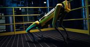 Spot: roztańczony robot znowu w akcji