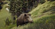 Way of the Hunter ma zapewnić piękne widoki. Twórcy rekomendują RTX 2070 Super