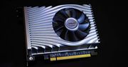 Karta graficzna Intel DG1 (Xe) na pierwszych zdjęciach