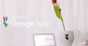 Google Tulip - pogadaj ze swoim tulipanem [Prima Aprilis]