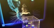 Nadchodzą nowe procesory Intel. Widziałem je przedpremierowo na Computex 2025