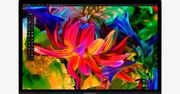 Apple wymienia wadliwe baterie w MacBook Pro 13