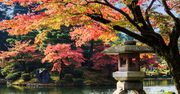 Japonia w Karkonoszach? To miejsce zachwyci Cię jesienną porą!