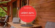Leśny Azyl w samym sercu Roztocza. Poznaj wyjątkowe miejsce!