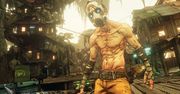 Borderlands 3 z cross-play, ale dopiero jakiś czas po premierze [AKT. - nowy zwiastun]