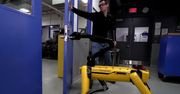 Dokuczanie robotom II - Boston Dynamics znowu to robi