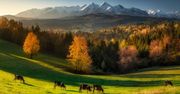 Najpiękniejszy punkt widokowy na Tatry? Odkryj Przełęcz nad Łapszanką