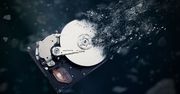 Jaki wybrać dysk HDD? Najlepsze modele