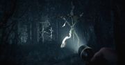 Polski Blair Witch straszy na nowych materiałach wideo