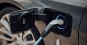 Pierwszy taki kraj na świecie. Mają więcej elektryków niż aut benzynowych