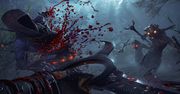 12 minut dynamicznych starć z Shadow Warrior 2