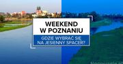 Weekend w Poznaniu. Gdzie wybrać się na jesienny spacer?